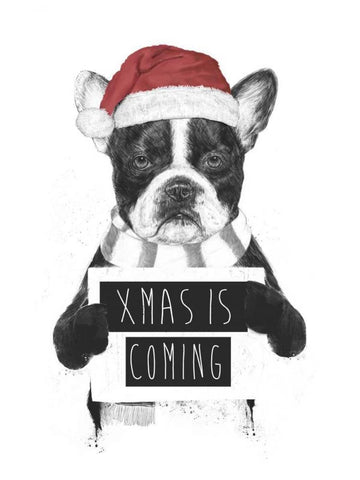 Xmas is Coming White Modern Wood Framed Art Print with Double Matting by Solti, Balazs