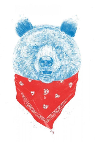 Wild Bear White Modern Wood Framed Art Print with Double Matting by Solti, Balazs