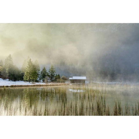 First Touch of Snow Black Modern Wood Framed Art Print with Double Matting by Schneidersmann, Anne