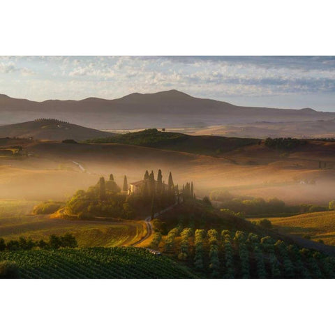 Il Belvedere White Modern Wood Framed Art Print by Schneidersmann, Anne