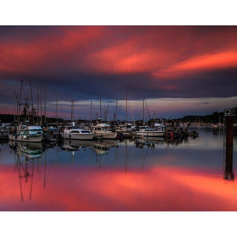 Ganges Harbor Sunset Black Modern Wood Framed Art Print by Severn, Shawn/Corinne