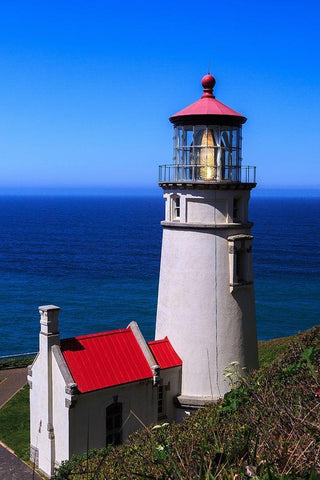 Heceta Head Lighthouse Black Ornate Wood Framed Art Print with Double Matting by Severn, Shawn/Corinne