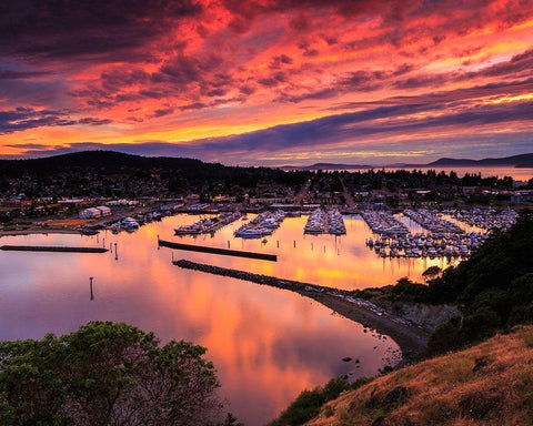 Red Sunset Over Harbor Black Ornate Wood Framed Art Print with Double Matting by Severn, Shawn/Corinne
