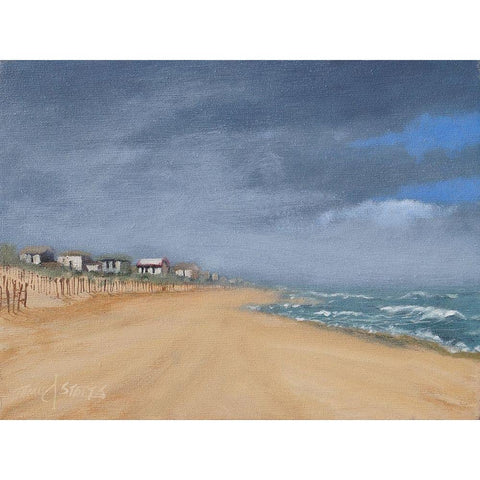 Beach Houses and Surf Black Modern Wood Framed Art Print with Double Matting by Stotts, Thomas