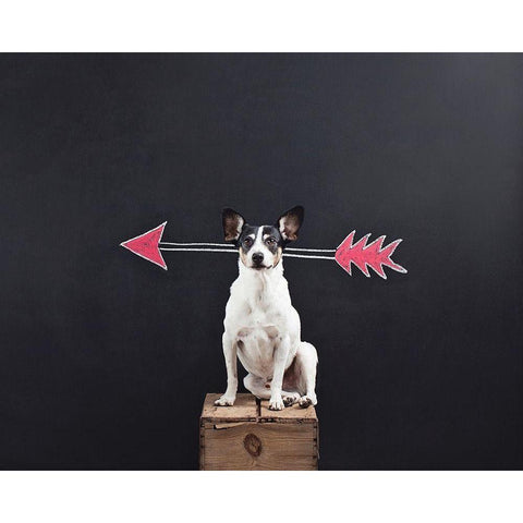 Prankster Black Modern Wood Framed Art Print with Double Matting by Sabo, Susan