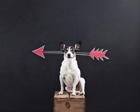 Prankster Black Ornate Wood Framed Art Print with Double Matting by Sabo, Susan