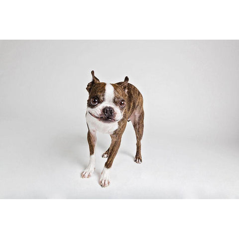 Kevin Gold Ornate Wood Framed Art Print with Double Matting by Sabo, Susan