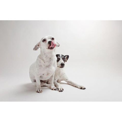 Mouse and Jack Gold Ornate Wood Framed Art Print with Double Matting by Sabo, Susan