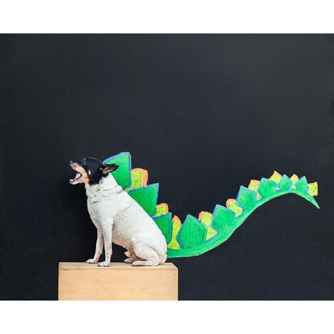 Dino Dog Black Modern Wood Framed Art Print with Double Matting by Sabo, Susan