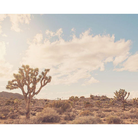 Sunshine and Joshua Trees Gold Ornate Wood Framed Art Print with Double Matting by Soffia, Myan