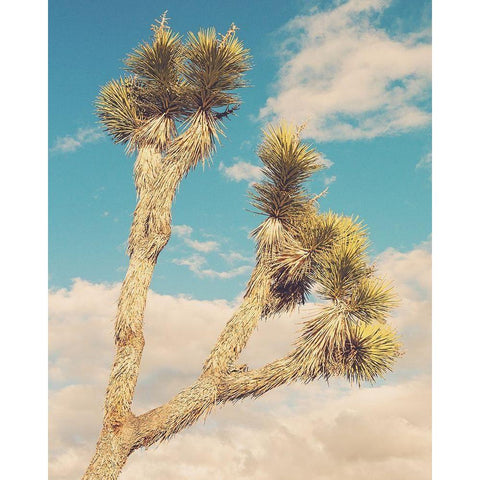 Untitled No. 2 Black Modern Wood Framed Art Print by Soffia, Myan