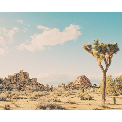 Winter in the Desert No. 3 White Modern Wood Framed Art Print by Soffia, Myan