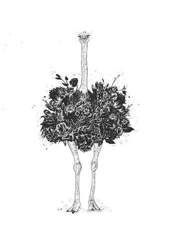 Floral Ostrich White Modern Wood Framed Art Print with Double Matting by Solti, Balazs