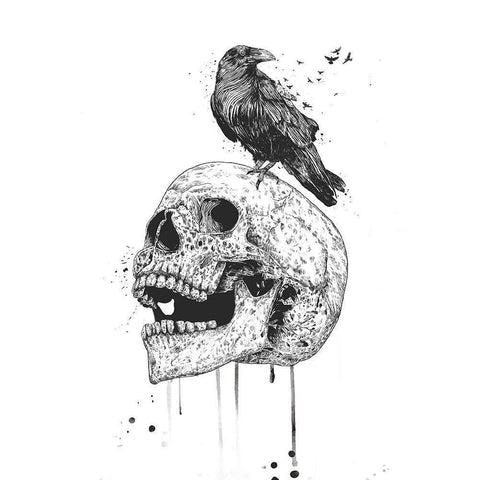 New Skull White Modern Wood Framed Art Print by Solti, Balazs