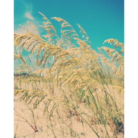 Sea Oats Black Modern Wood Framed Art Print with Double Matting by Soffia, Myan