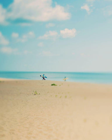 Silent Observer White Modern Wood Framed Art Print with Double Matting by Soffia, Myan