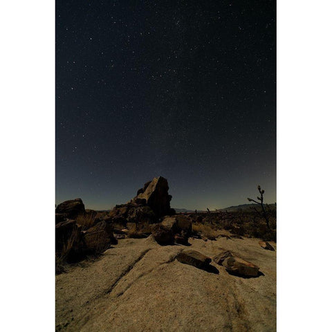 Mohave at Night No. 2 Black Modern Wood Framed Art Print by Severn, Shawn/Corinne