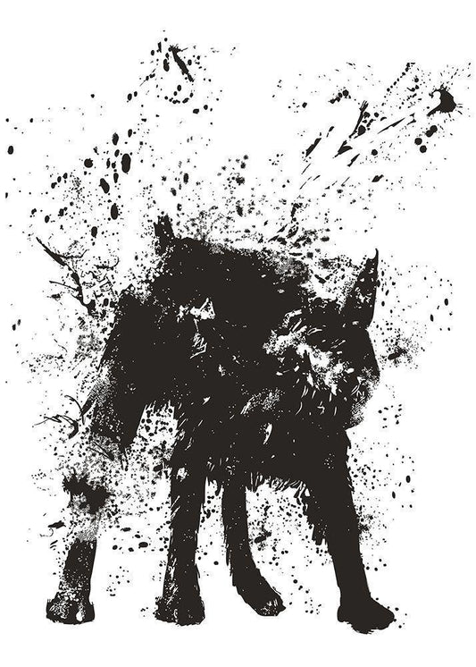 Image Only