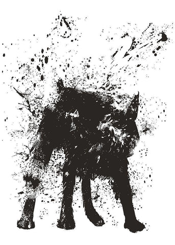 Wet Dog Black Ornate Wood Framed Art Print with Double Matting by Solti, Balazs