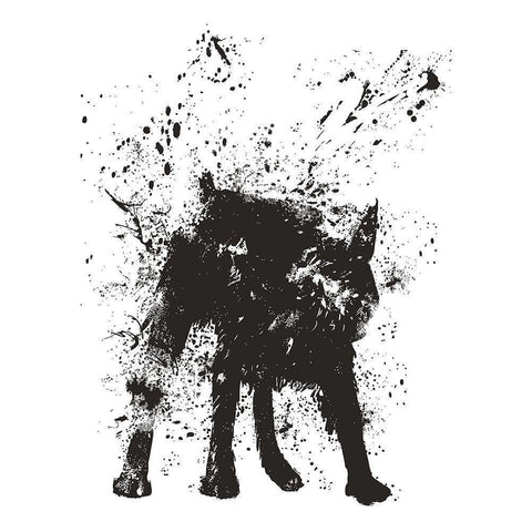 Wet Dog Black Modern Wood Framed Art Print with Double Matting by Solti, Balazs