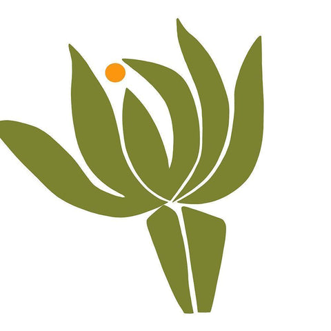 Protea White Modern Wood Framed Art Print by Sierer, Trish