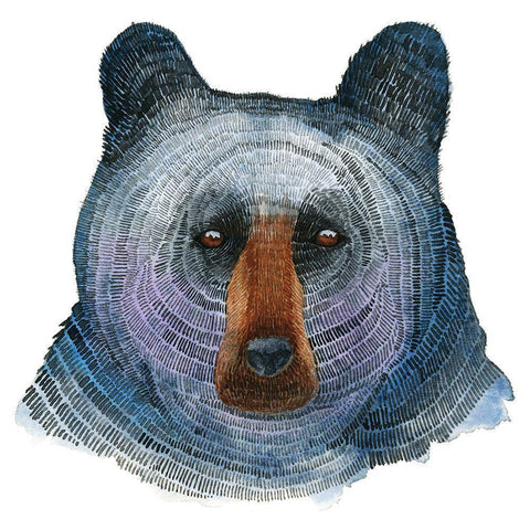 Black Bear Black Modern Wood Framed Art Print with Double Matting by Saylor, Jeannine