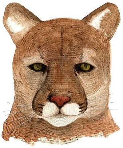 Cougar White Modern Wood Framed Art Print with Double Matting by Saylor, Jeannine