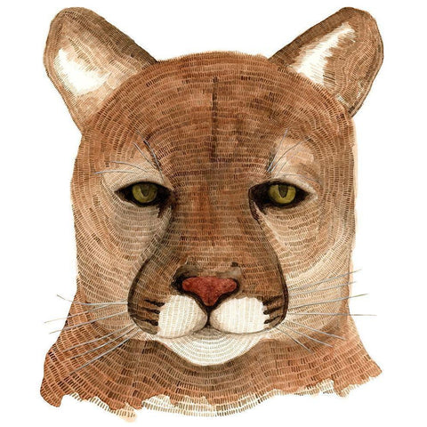 Cougar Black Modern Wood Framed Art Print with Double Matting by Saylor, Jeannine