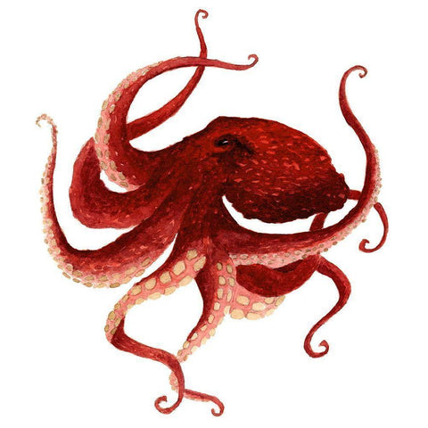 Giant Pacific Octopus - Red White Modern Wood Framed Art Print by Saylor, Jeannine