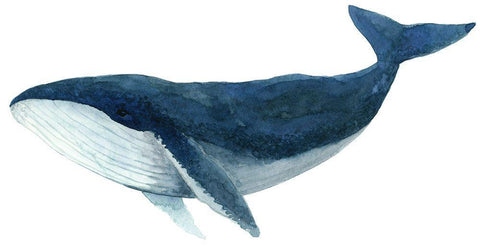Humpback Whale - Blue Black Ornate Wood Framed Art Print with Double Matting by Saylor, Jeannine