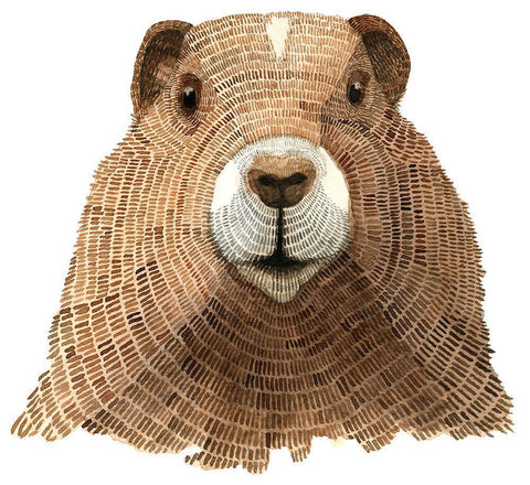 Marmot White Modern Wood Framed Art Print with Double Matting by Saylor, Jeannine