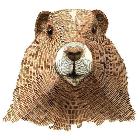 Marmot Black Modern Wood Framed Art Print by Saylor, Jeannine