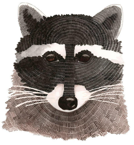 Raccoon White Modern Wood Framed Art Print with Double Matting by Saylor, Jeannine