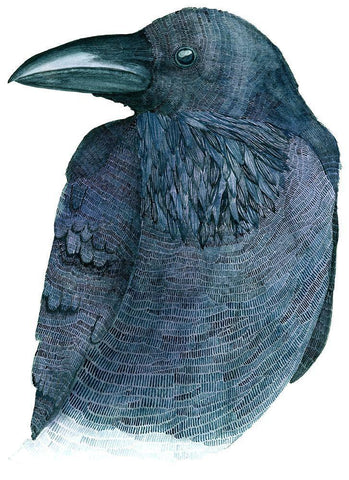 Raven Black Ornate Wood Framed Art Print with Double Matting by Saylor, Jeannine