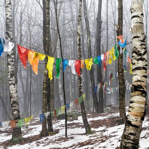 Prayer Flags, Woodstock, NY White Modern Wood Framed Art Print by Sinclair, Kelly