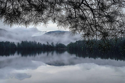 Rainy Day Cooper Lake White Modern Wood Framed Art Print with Double Matting by Sinclair, Kelly