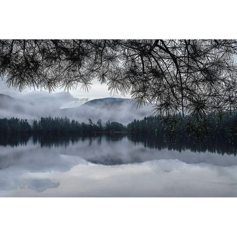 Rainy Day Cooper Lake Black Modern Wood Framed Art Print with Double Matting by Sinclair, Kelly