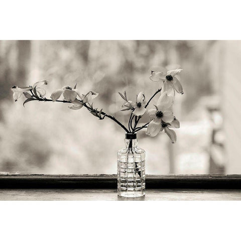 Wild Dogwood Gold Ornate Wood Framed Art Print with Double Matting by Sinclair, Kelly