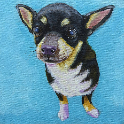 Rachels Dog Black Ornate Wood Framed Art Print with Double Matting by Stewart, Lucia