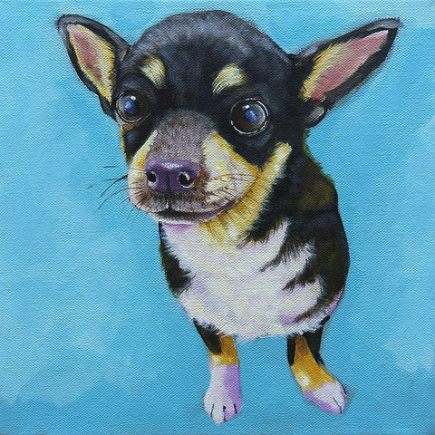 Rachels Dog Black Modern Wood Framed Art Print with Double Matting by Stewart, Lucia