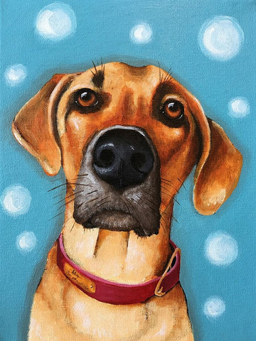 Simba White Modern Wood Framed Art Print with Double Matting by Stewart, Lucia