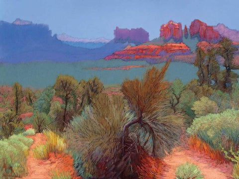 High Desert Black Ornate Wood Framed Art Print with Double Matting by Silverwood, Mary