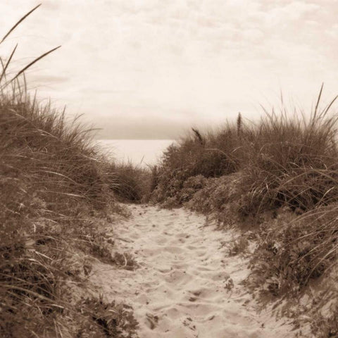 Dune Path Black Modern Wood Framed Art Print with Double Matting by Triebert, Christine