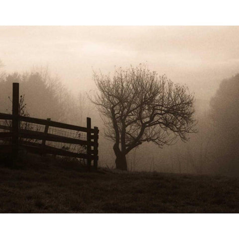 Mountain Meadow Farm Black Modern Wood Framed Art Print by Triebert, Christine