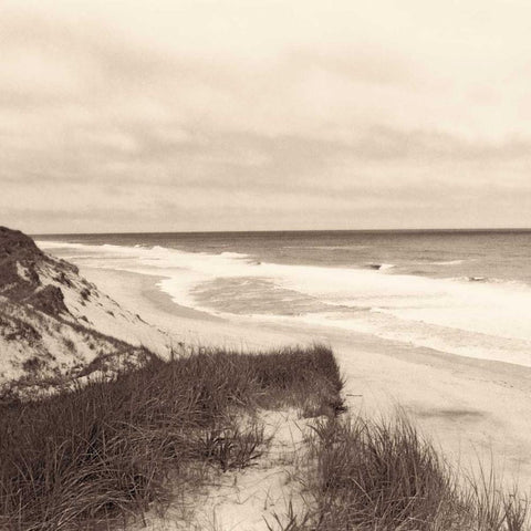 Wellfleet Dune White Modern Wood Framed Art Print with Double Matting by Triebert, Christine