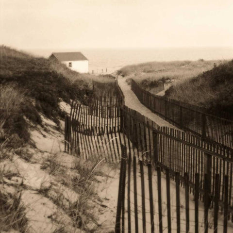 Dune Fence Gold Ornate Wood Framed Art Print with Double Matting by Triebert, Christine