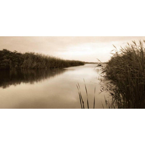 River Reeds Black Modern Wood Framed Art Print by Triebert, Christine
