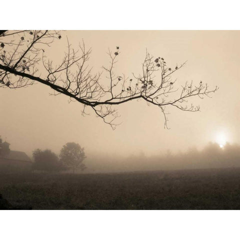 Parish Hill Sunrise White Modern Wood Framed Art Print by Triebert, Christine