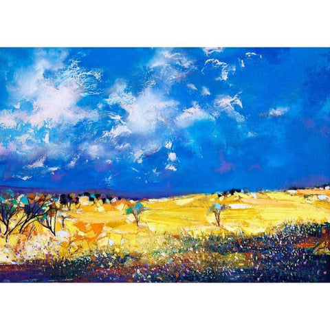 Canola Flowers Black Modern Wood Framed Art Print with Double Matting by Turton, John
