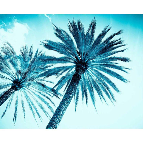 Chic Palms Black Modern Wood Framed Art Print by Tai Prints